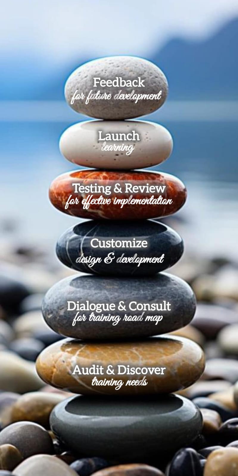 Government CTDD Image